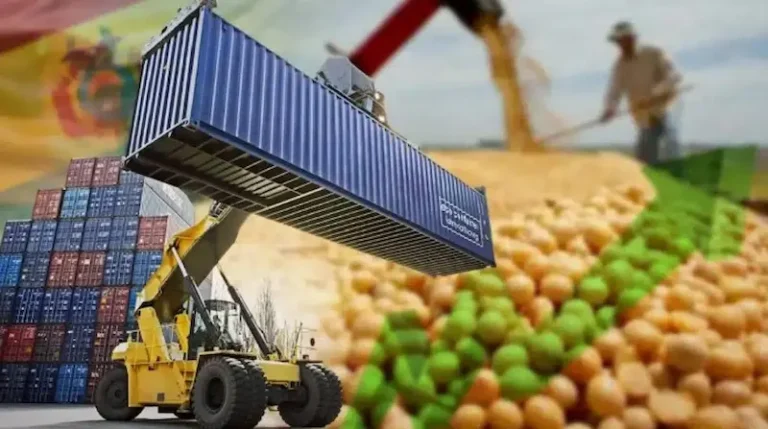 Cómo exportar desde Bolivia Guía práctica