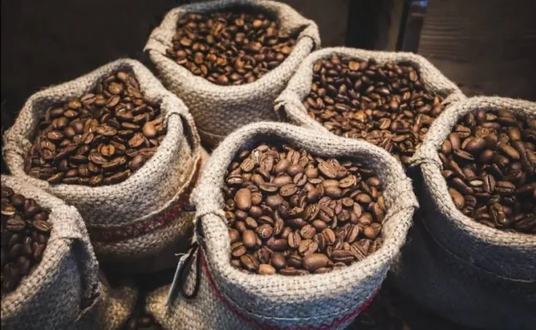 Exportación de café boliviano guía completa