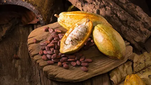 Recomendaciones para exportar café de manera eficiente